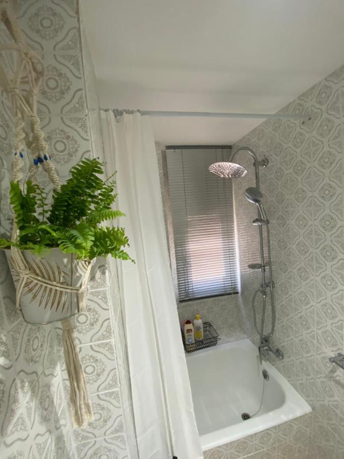 Apartamento Cebra Apartment Zaragoza Exterior photo